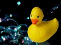 Rubber Ducky