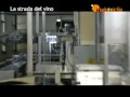 vini RALLO - Marsala_Sicilia vini RALLO - Marsala_Sicilia