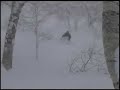 ?????????? Niseko Powder Guide
