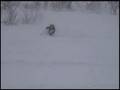 ニセコパウダーガイド Niseko Powder Guide
