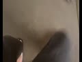 wasp killer