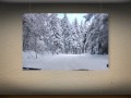 snow snow and snow... just sooo much snow...!