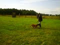 CLIP0047.AVI