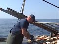 Sea Scallop Dredging 30 Miles off the Coast of Cape May, NJ