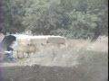 Castaic Lake Supercross Motocross Track