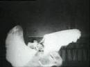 Ameta - 1903 Ameta - 1903