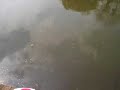 HydroFoam - Motorschaden Cuju