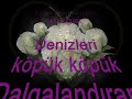 leman-sam-bana-esmeyi-anlat.html