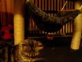 My Kitty Snooz - Song: Wind it Up
