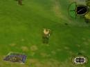 Hogs Of War