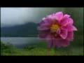 Njanennumm jeevikum........ Malayalam christian song