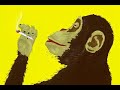 Mellow Yellow Monkey #001