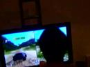 Wii VGL in SP Wii VGL in SP