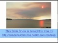 What Is Biodiversity - A Quick, Easy Review