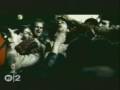 Phoenix - If I Ever Feel Better
