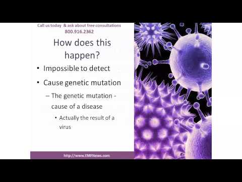 how to dissolve quercetin