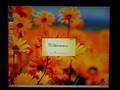 videos de Windows Vista on a Power Mac G5