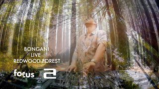 Bongani - Live @ Redwood Forest, Victoria Australia 2020