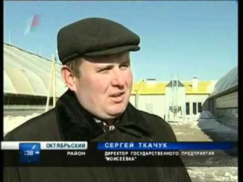 Первая роботизированная ферме в Гомельской области