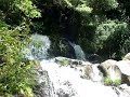 Sever do Vouga Silva Escura Parque natural  de Cabreia