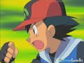 Treecko, use harden!!!