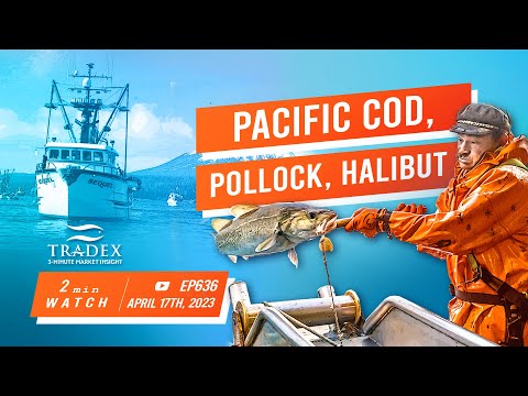 3MMI - Pacific Cod, Pollock, and Halibut Update