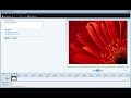 Tutorial - Brand Your Videos