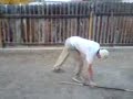 bo staff fun 2