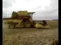 Harvesting Soybeans