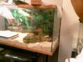 Bio Lab 4 @ Merced College