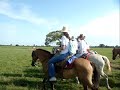 Pocon� On Line - Cavalgada cavalo pantaneiro 2008