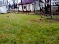 rc foff first test in brushless