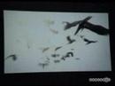 resident evil 5