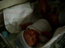 Addi, Day 2