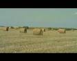 clip video Aroah Fuck Road