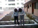 vir y isa bailand n l macetero