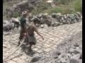 NewsNetworkToday: YEMAN: FOOD & ECONOMIC CRISIS (WORLD BANK)