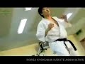 Kyokushin Korean