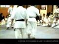 Kyokushin Korean
