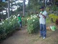 DSCN0931,,