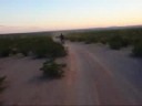 Horny Toad Chainless DH Horny Toad Chainless DH