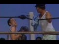 trapalh�es - O Lutador de Boxe