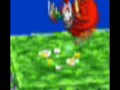 knuckles vs tails.wmv