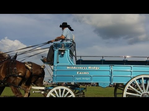 how to hitch two horses to a wagon
