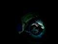 batoux-defoncer.html
