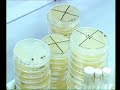 Técnicas Básicas en el Laboratorio de Microbiología. Preparación de Medios de Cultivo