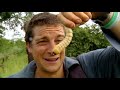 Click here to watch this video Abenteuer Survival - Zambia 2/5