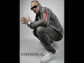 COBRA NEW SONG (PARAMERICANO REMIX)