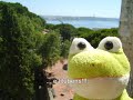 FELIZ 2009