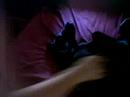Dabba SLEEEEEEEEEEPIN Dabba SLEEEEEEEEEEPIN
